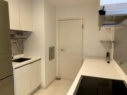 Nathan Suites (D10), Condominium #471420971